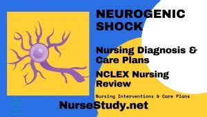 Neurogenic Shock Nursing Diagnosis Care Plan Nursestudy Net