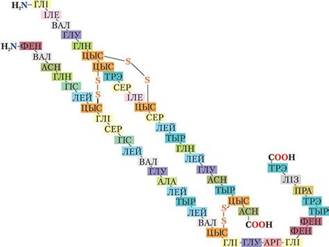 § 48. Бялкі: Бялкі