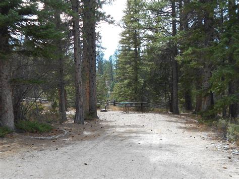 Pine Lake Campground Dixie National Forest