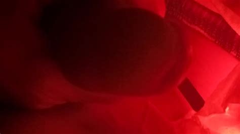 激しいレズビアンのクローズアップポルノへのハメ撮り赤い光の深夜のオーガズム Pornhub Gay