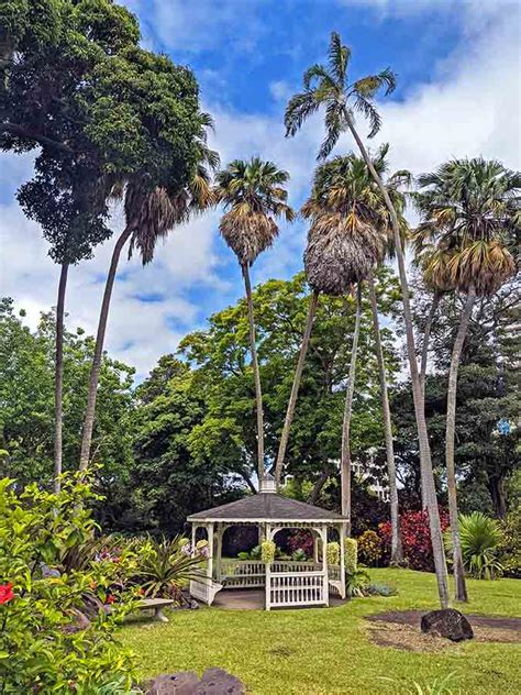 The Best Botanical Gardens In Oahu Hawaii The Golden Hour Adventurer