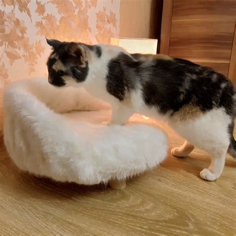 Felted Cat Bed Etsy