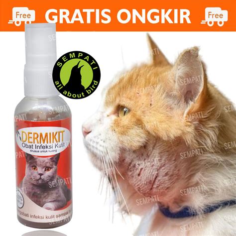 Jual Dermikit Spray Ml Obat Infeksi Kulit Kucing Cat Kitten Anabul