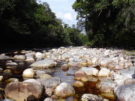 O El Dorado é aqui Parque Estadual da Serra do Aracá Barcelos