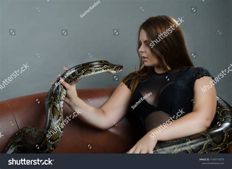 Beautiful Big Tits Girl Giant Snake Stock Photo Shutterstock