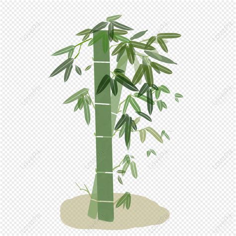bambu de dibujos animados png imagenes gratis lovepik