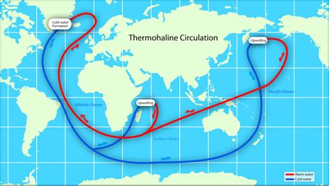 Jessica Mccollum Thermohaline Circulation Map