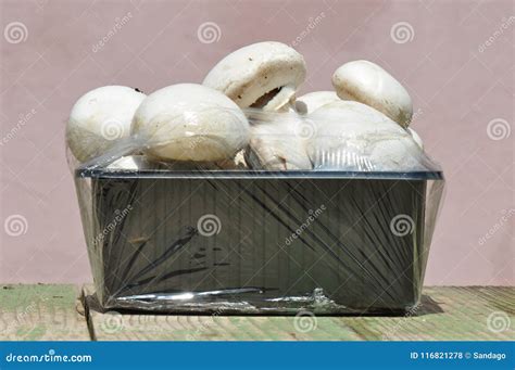 Mushroom With Plastic Foil Stock Photo Image Of Food 116821278