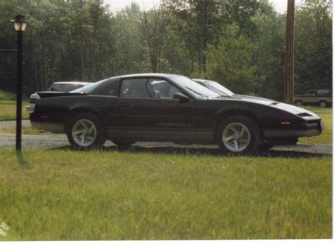 Collections What Do You Like To Collect Page 2 Freeones Forum The Free Sex Community