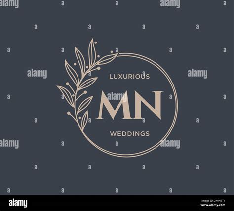 Mn Initials Letter Wedding Monogram Logos Template Hand Drawn Modern