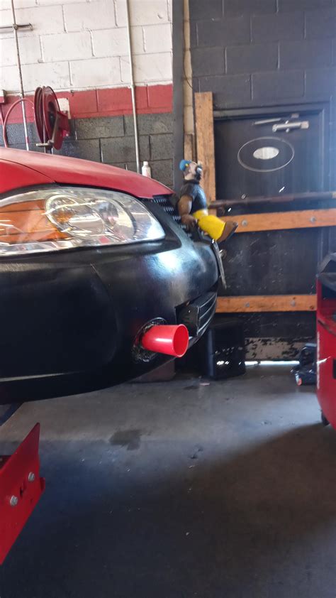 just sailed into the shop? : r/Justrolledintotheshop