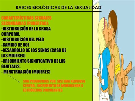 Presentación sexualidad dimensiones biológicas psicológicas y socioc