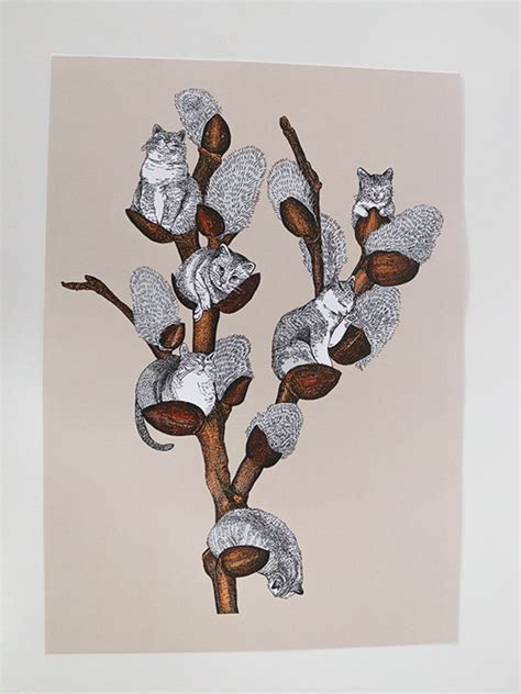 Pussy Willow Print Etsy