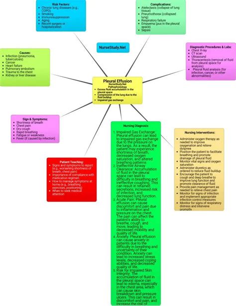 Pleural Effusion Nursing Diagnosis Care Plan Nursestudy Net