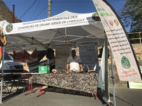 Association Départementale des Chasseurs de Grand Gibier de l Hérault