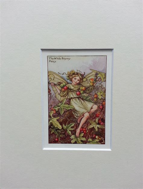 Flower Fairy Mounted Vintage Print 1930s White Bryony CICELY Etsy