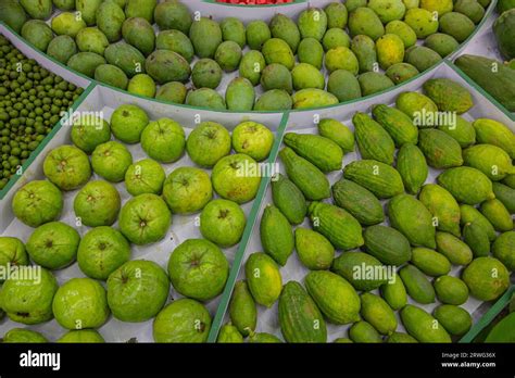 types  fruits  display  national fruits festival