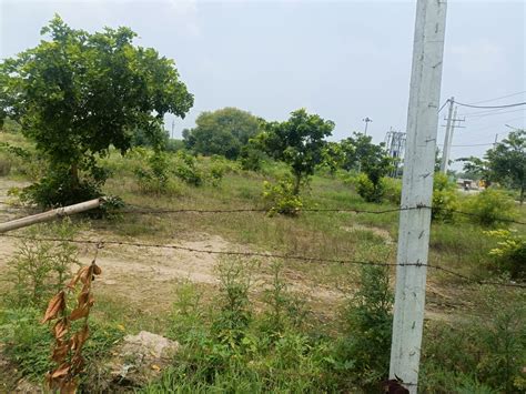 Resale Sq Yd Plot In Omaxe City Plots Sector Sonipat