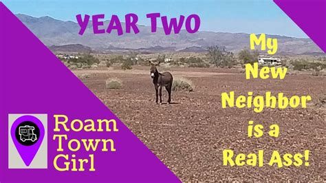 Meet My Ass Of A Neighbor YouTube