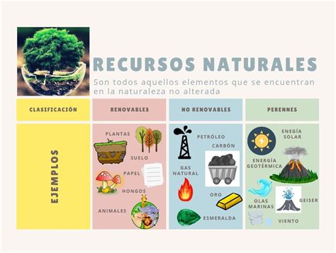 Cuadro Comparativo De Los Recursos Naturales Artofit