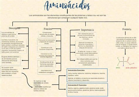 MAPA Teoria Bioquimica Bioquímica General cia la Studocu