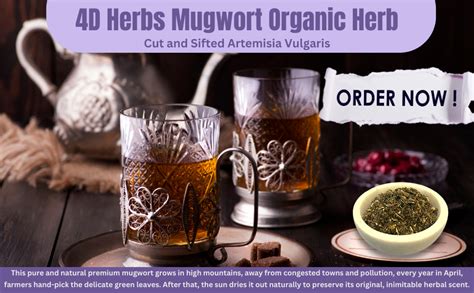 4d Herbs Mugwort Tea Dried Loose Leaf Artemisia Vulgaris Caffeine Free 2