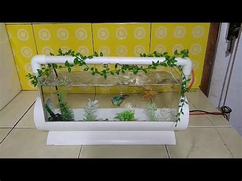 Aquarium Unik Mini Aquarium Mini Cupang Aquarium Unik Shopee