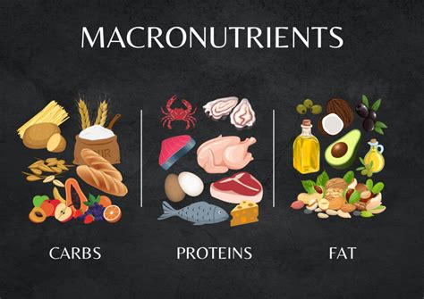 Macros 101 A Beginner’s Guide To Proteins Fats And Carbohydrates Webinar Aligned Modern