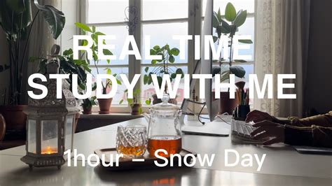 REAL TIME STUDY WITH ME No Music 1h Productive Snow Day No Break