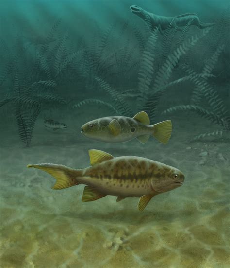 Fish Fossils Reveal How Tails Evolved, Penn Professor Finds | Penn Today
