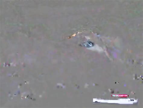 Big Boobs Shaved Pussy