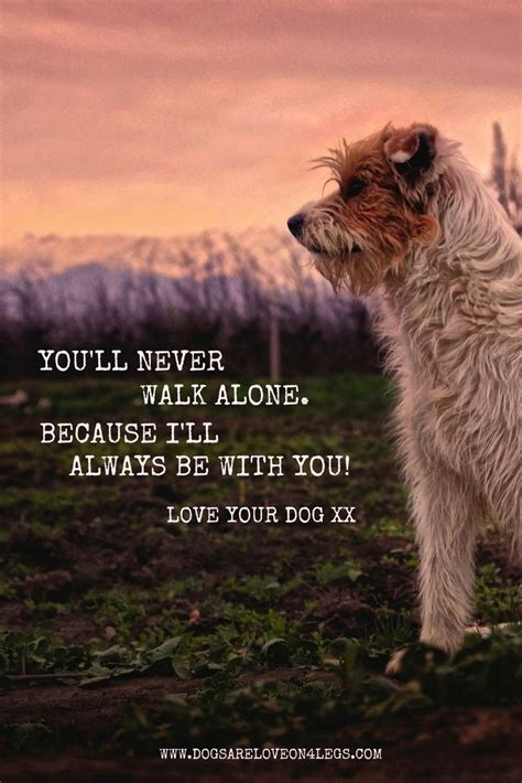 Funny Dog Walking Quotes - ShortQuotes.cc