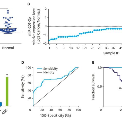 Expression Of Mir P In Gc Tissues And Kaplan Meier Survival Curves