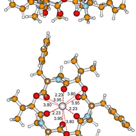 Two Projections Of The Dft Optimized Structure Of The Na Complex