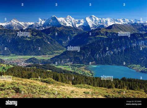 Swiss Alps View v m Niederhorn Eiger 3974 m Mönch 4099 m