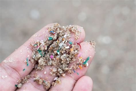 Microplastiche Nel Cibo Dove Si Trovano Cosa Comportano E Come Difendersi