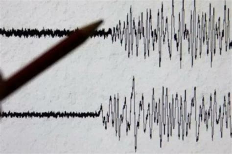 Un sismo de magnitud 6 8 sacude la costa nordeste de la isla más