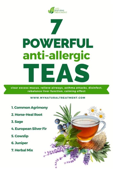 10 Best Natural Antihistamines For Allergies And Allergy Teas