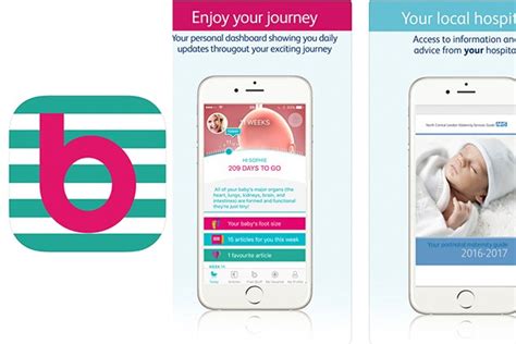 The Best Apps For Pregnancy And Tracking Your Pregnancy 2021 Madeformums