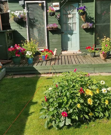 aviary ideas  cage  aviary birds  hunting life