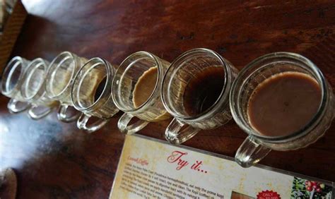 Civet Coffee Tasting And Visiting Teba Sari Farm In Bali Skimbaco