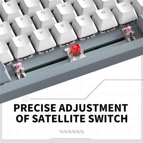 Zifriend T98 98 Keys Mechanical Keyboard RGB Backlit Hot Swappable Black And White Vibe