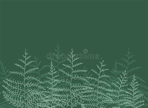 Bracken Tree Stock Illustrations 607 Bracken Tree Stock Illustrations