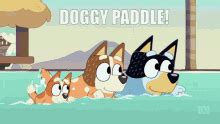 dog paddle gifs tenor