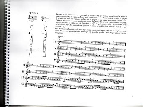 Aula de Música: Flauta