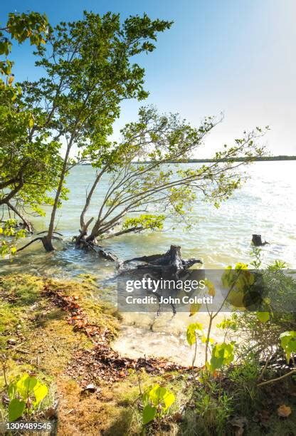 324 Disappearing Island Florida Stock Photos High Res Pictures And