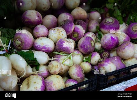 Turnip Root Vegetable Roots Produce Turnips Market Hi Res Stock