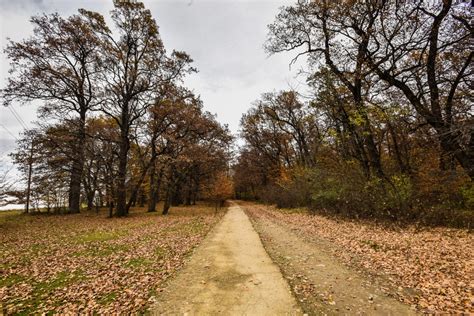 Se Răcește Vremea în Județ 14 Grade în Municipiul Sibiu