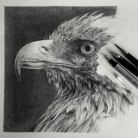 hyperrealistic pencil drawings  monica lee  pictures coole