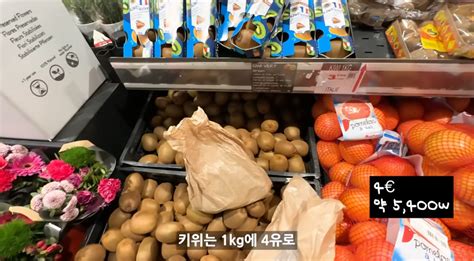 30 올라 이정도한국보다 훨씬 저렴한 프랑스 마트 충격 물가 Snsfeed 제휴콘텐츠 제공 실시간 핫이슈